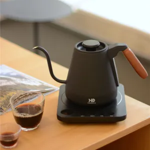 0.8L Home Tea Kettle with Slim Spout for Gongfu Tea, Temperature Control and Insulation Electric Water Heater