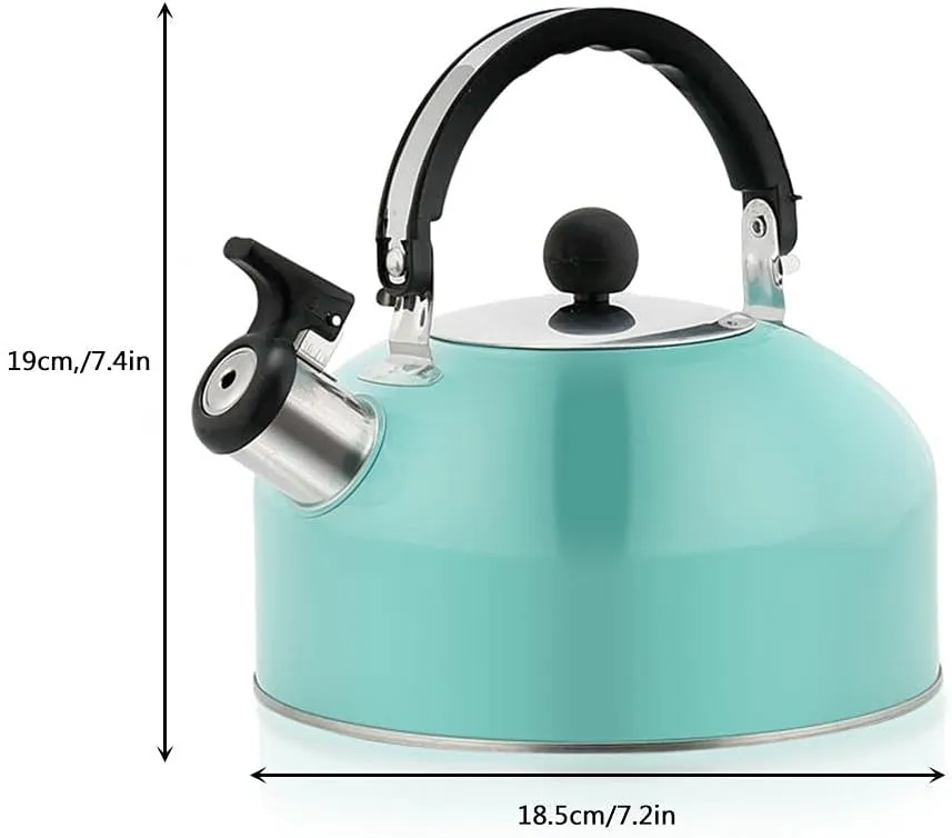 3L Stainless Steel Whistling Camping Bottle Lightweight Kettle for Camping Trips (Sky Blue)