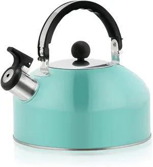 3L Stainless Steel Whistling Camping Bottle Lightweight Kettle for Camping Trips (Sky Blue)