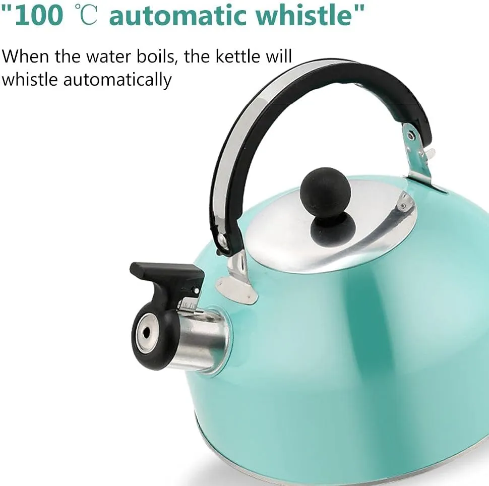 3L Stainless Steel Whistling Camping Bottle Lightweight Kettle for Camping Trips (Sky Blue)