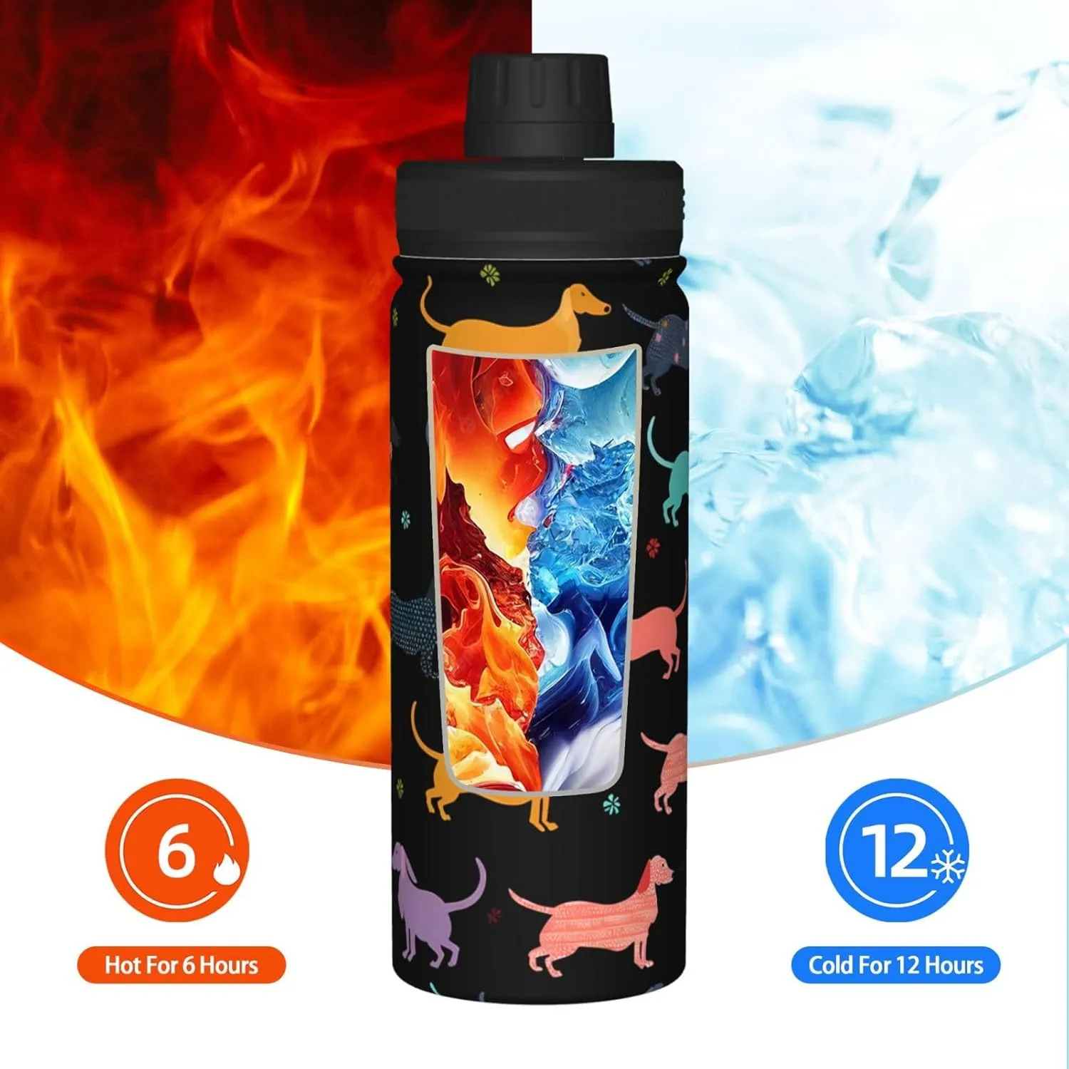 Dachshund Puppy Dog Water Bottle,18oz Sports Insulated Kettle for Cycling Gym Basketball Outdoor,Suitable as a Present