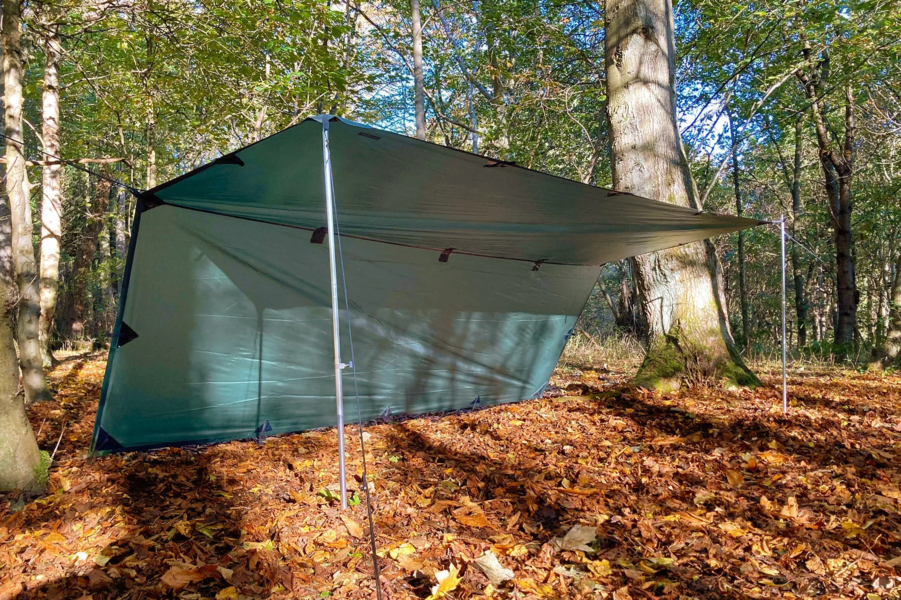 DD Tarp M