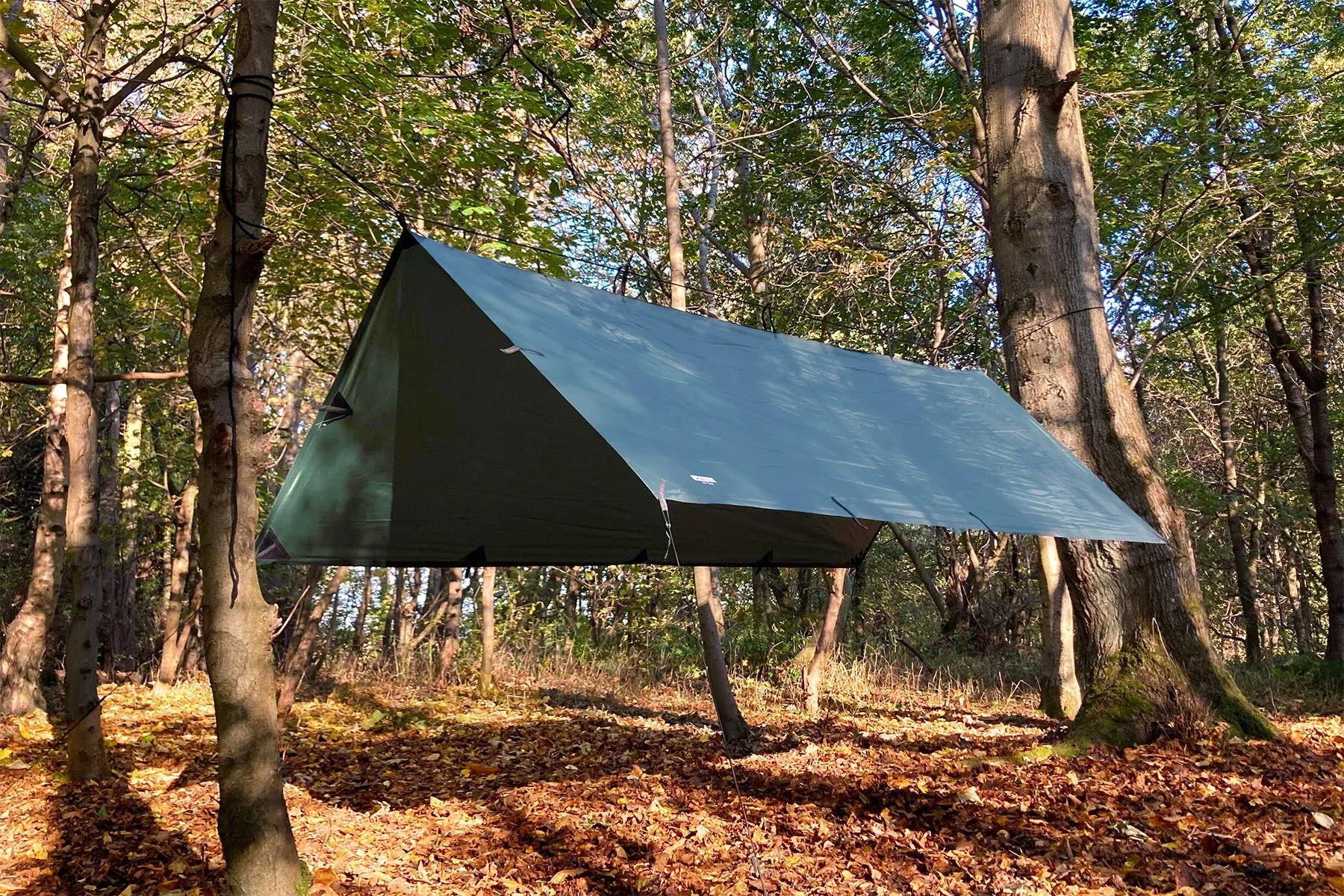 DD Tarp M