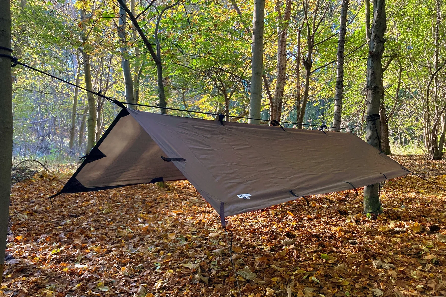 DD Tarp S