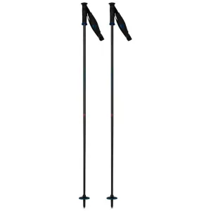 Electra Premium Carbon Ski Pole - Womens