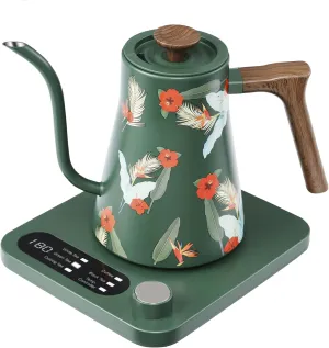 Gooseneck Electric Kettle - 1200W Quick Boil, Temp Control with 6 Presets & ±5℉ Adjustment, Accurate Pouring, 2H Auto Keep Warm, for Pour Over Coffee & Tea, Stainless Steel, 0.7L, Green