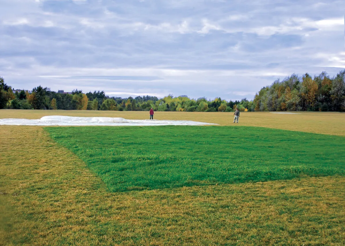 GRASS/TURF BLANKETS