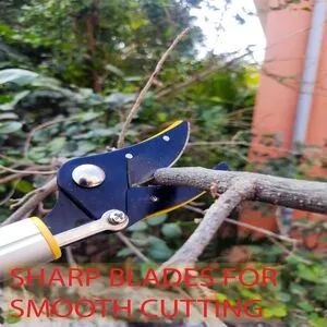 HECTARE ALUMINUM TELESCOPIC LONG REACH (10 FEET) CUT AND HOLD PRUNER WITH SAW