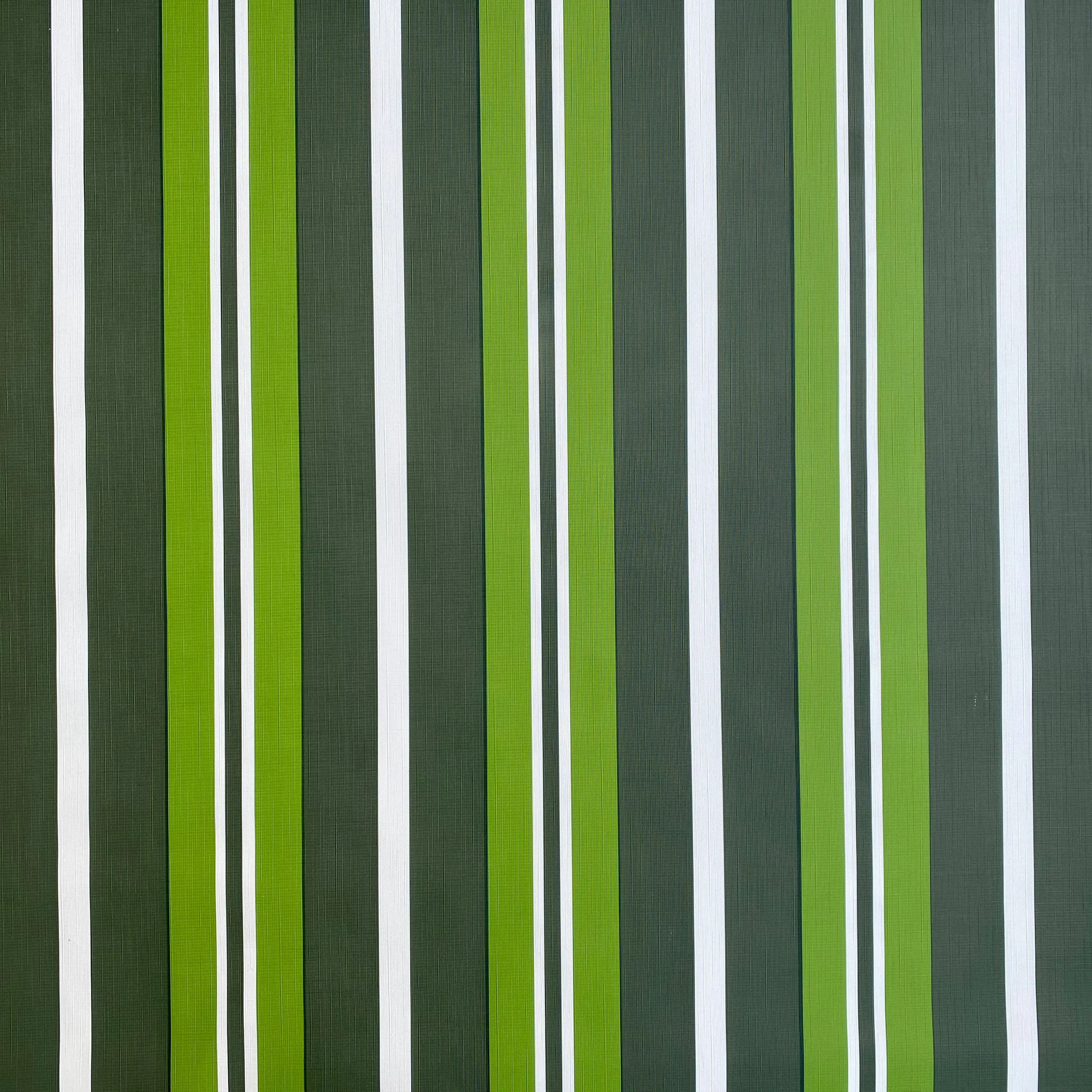 Khaki, Green, White Stripe