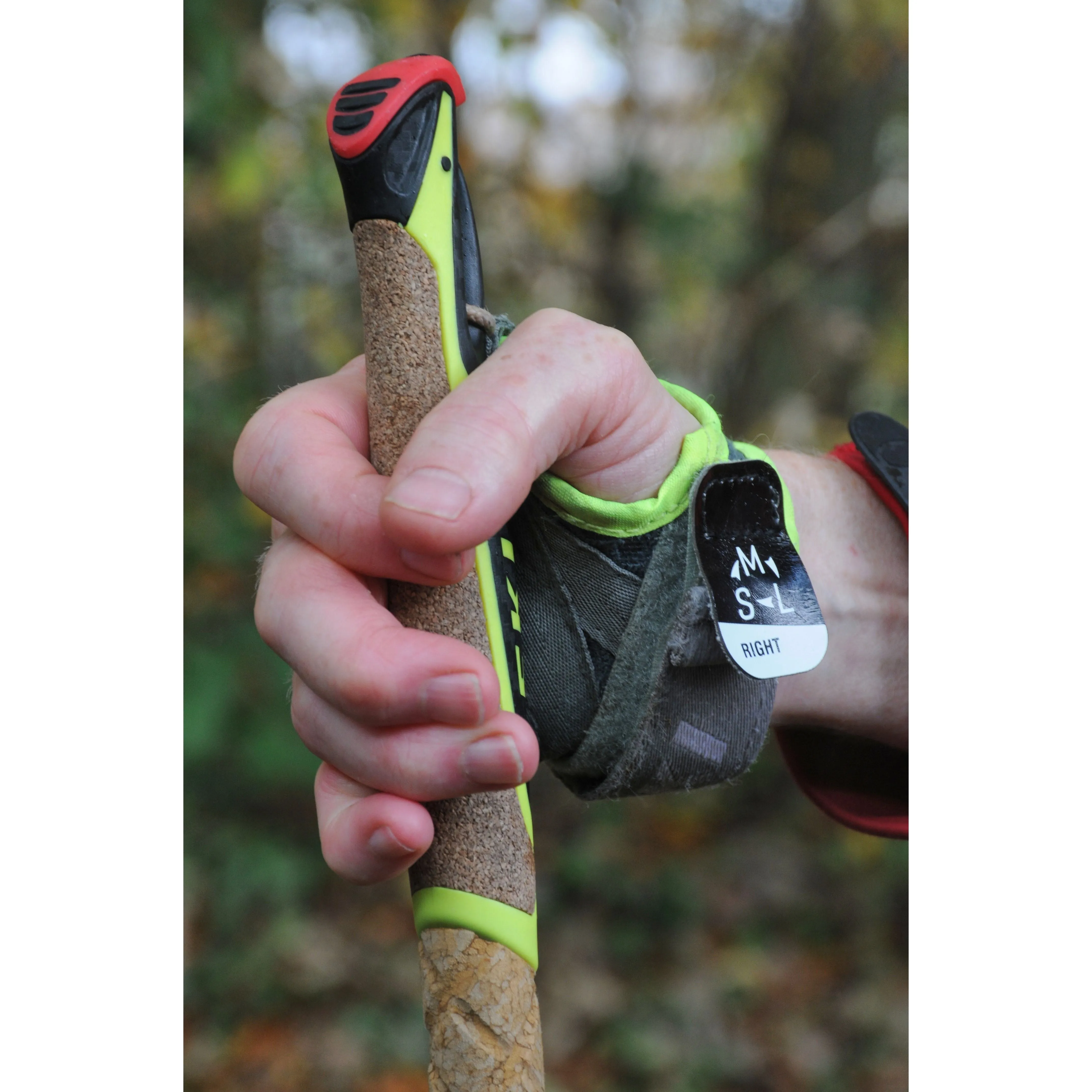 Leki Walker Platinium 100% Carbon Nordic Walking Poles (Pair)
