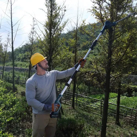 Liangye 18V Cordless Battery Operated 8" Pole Chainsaw with Telescopic Handle