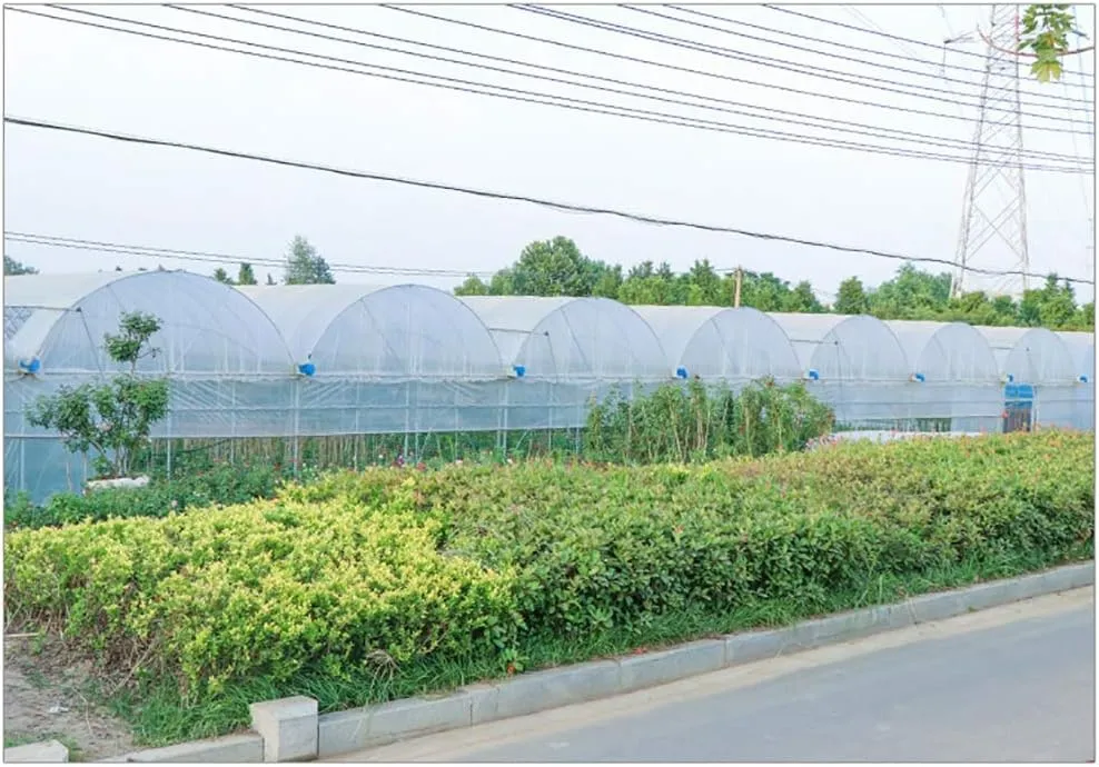 LXB Outdoor Multipurpose Tarpaulin-Waterproof Clear Tarp with Reinforced Corners, Transparent Greenhouse Film 4-Mil, Succulents Open Storage/Garden Tent,1Mx2M