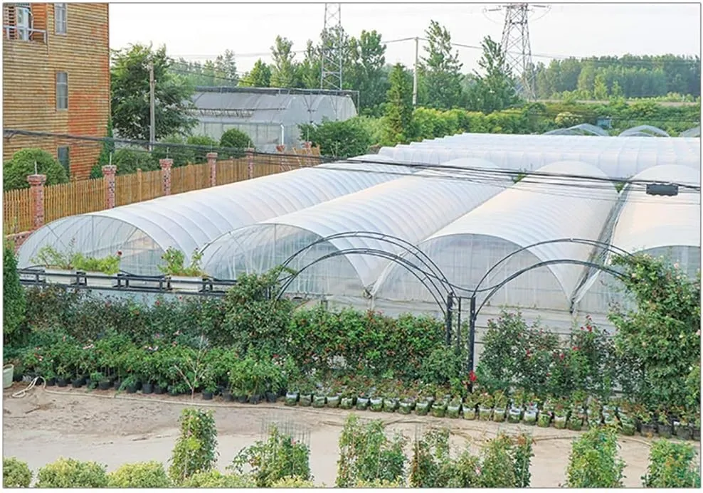 LXB Outdoor Multipurpose Tarpaulin-Waterproof Clear Tarp with Reinforced Corners, Transparent Greenhouse Film 4-Mil, Succulents Open Storage/Garden Tent,1Mx2M