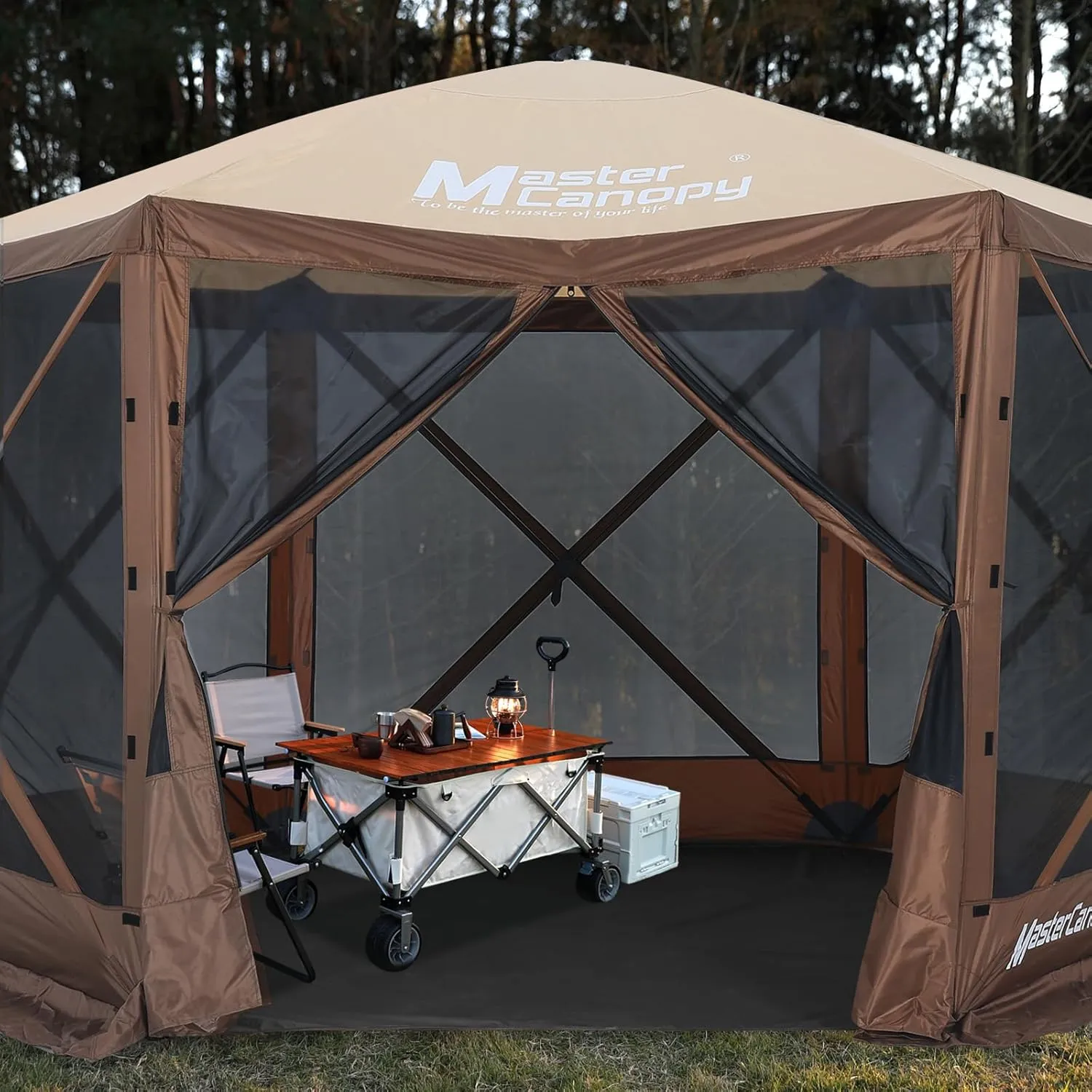 MASTERCANOPY Hexagonal Tent Footprint, 10x10FT Camping Footprint with Storage Bag