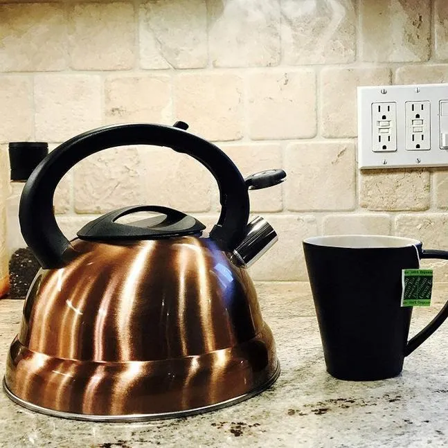 Modern Stainless Steel Whistling Tea Pot with Cool Grip Ergonomic Handle
