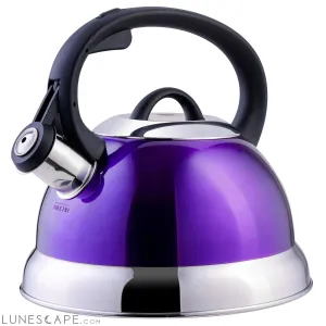 Mr. Coffee Flintshire 1.75 Quart Whistling Stovetop Tea Kettle in