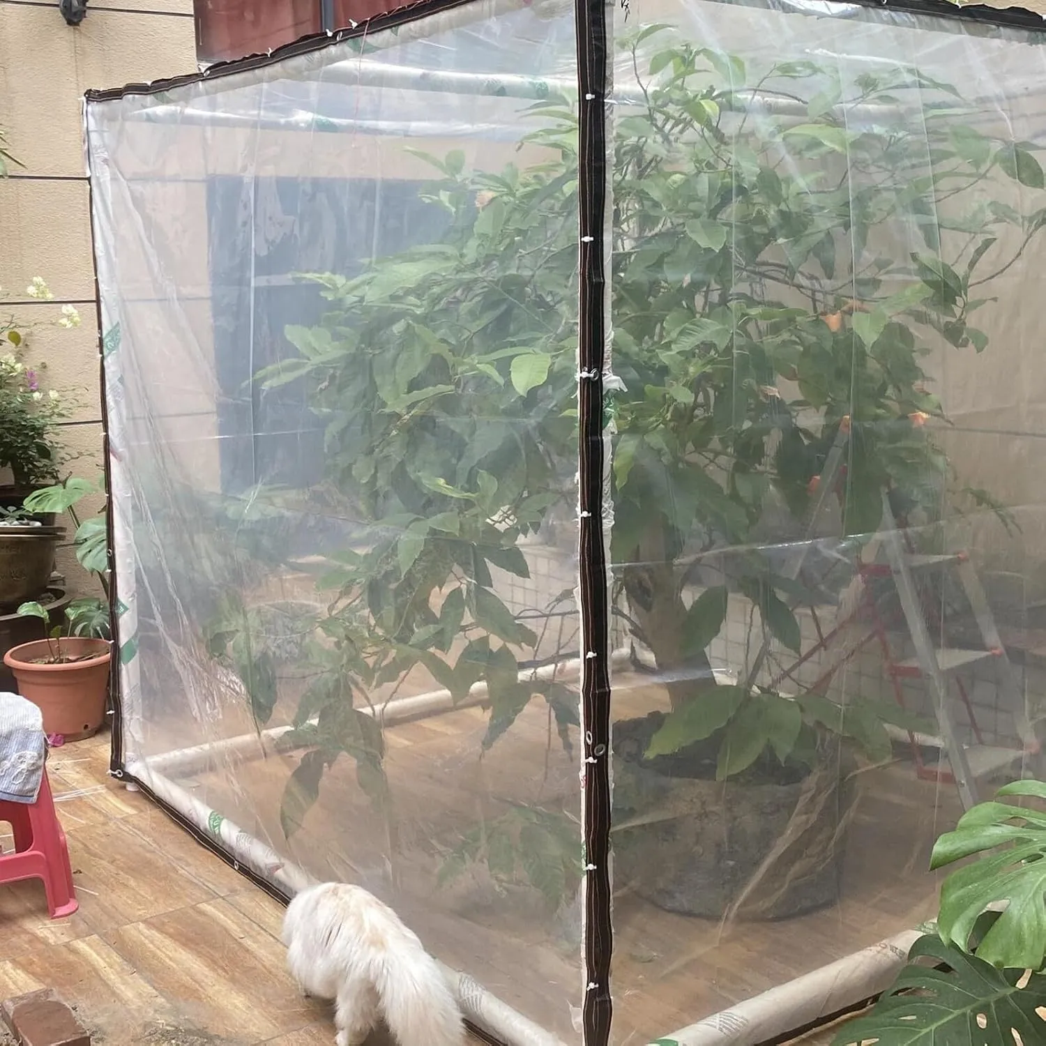Outdoor Garden Rainproof Covering,7X10 FT,16X23 FT, 20X26 FT 10x10 ft Heavy Duty Clear Waterproof Tarp,Poly Tarpaulin Tarps Transparent,for Patio Pergola Garden Canopy(10x10 ft(3x3m))