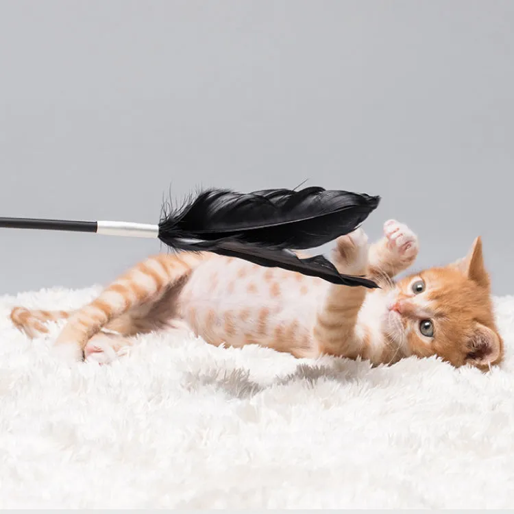 Pidan Cat Teaser Wooden Handle | 2 Colors