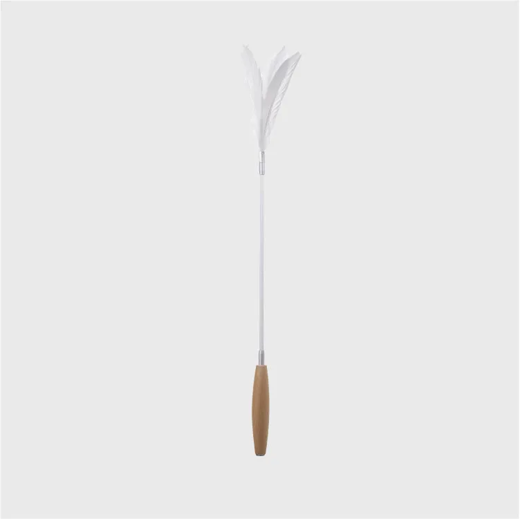 Pidan Cat Teaser Wooden Handle | 2 Colors