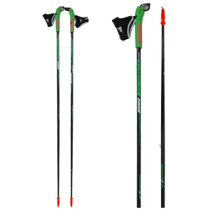 Rex Poles R1 Poles (Rollerski Version)