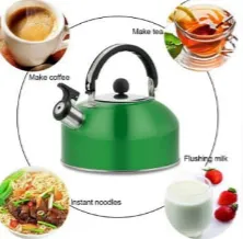 Stainless steel Kettle