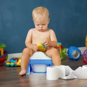 Travel Potty Chair with Potty Lines