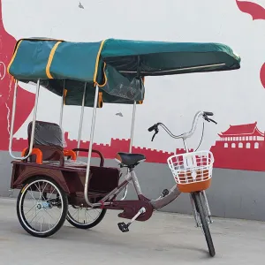 Trike Cover Compatible, Bike Storage Covers Rain Sun UV Windproof Tarp, Heavy Duty Bike Cover, Waterproof and All-Weather, Breathable and Portable Vehicle Protection(Green,100cm/39.4in)